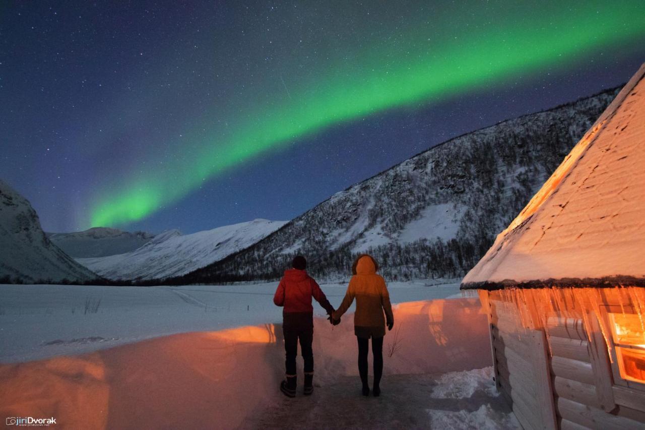 Camp North Tour Luksustelt Tromsø